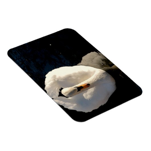 Magnet Flexible Swan (Côté Droit)