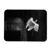 Magnet Flexible Swan trompette b/w (Horizontal)