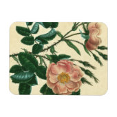 Magnet Flexible Sweet Briar Rose (Horizontal)