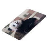 Magnet Flexible Sweet Giant Panda Baby (Côté Gauche)