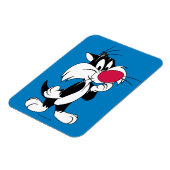 Magnet Flexible Sylvester| Pose classique (Côté Gauche)