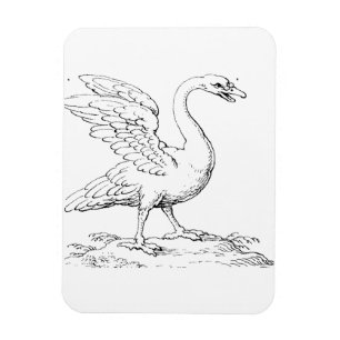 Magnet Flexible Symbole de l'amour et de la fidélité Swan Fine Art