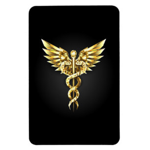Magnet Flexible Symbole Polygonal Or Caduceus