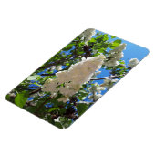 Magnet Flexible Syringa, Arbre à fleurs blanc Lilac (Côté Gauche)