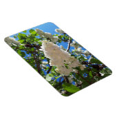 Magnet Flexible Syringa, Arbre à fleurs blanc Lilac (Côté Droit)