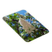 Magnet Flexible Syringa, Arbre à fleurs blanc Lilac (Côté Droit)