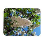 Magnet Flexible Syringa, Arbre à fleurs blanc Lilac (Horizontal)