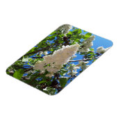 Magnet Flexible Syringa, Arbre à fleurs blanc Lilac (Côté Gauche)