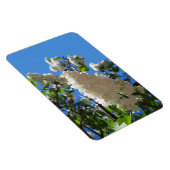 Magnet Flexible Syringa, Arbre à fleurs blanc Lilac (Côté Droit)