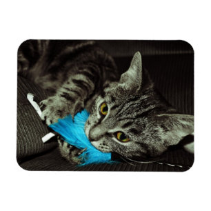 Magnet Flexible Tabby Cat avec plume par Shirley Taylor