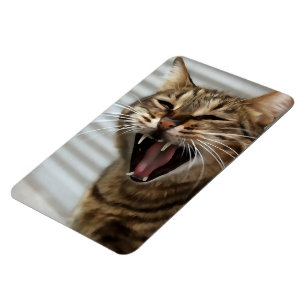Magnet Flexible Tabby Cat Yawning Portrait Artistique