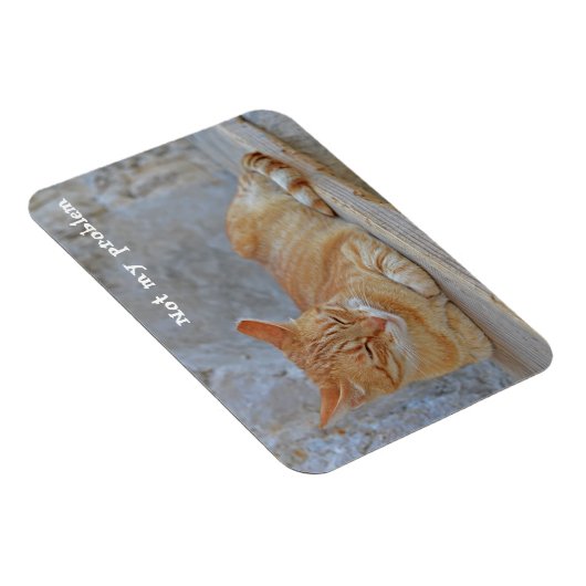 Magnet Flexible Tabby chat reposant à Dubrovnik Pas mon problème ! (Côté Droit)