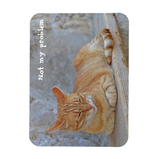 Magnet Flexible Tabby chat reposant à Dubrovnik Pas mon problème ! (Vertical)