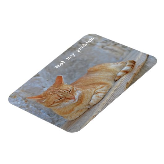 Magnet Flexible Tabby chat reposant à Dubrovnik Pas mon problème ! (Côté Gauche)