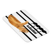 Magnet Flexible Tabby de musique kitty cat (Côté Droit)
