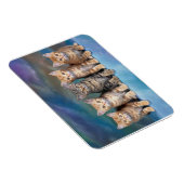Magnet Flexible Tabby Kittens dans un aimant de rangée (Côté Droit)