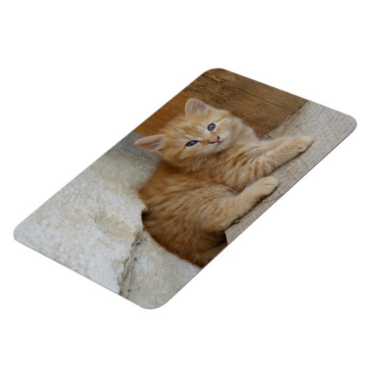 Magnet Flexible Tabby Tomcat Kitten (Côté Gauche)