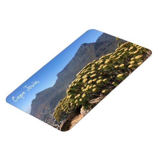 Magnet Flexible table cape (Côté Gauche)