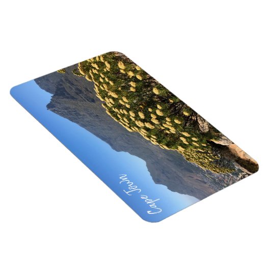 Magnet Flexible table cape (Côté Droit)