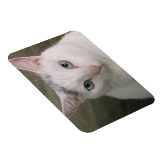 Magnet Flexible Tadpole (Côté Droit)