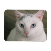 Magnet Flexible Tadpole (Horizontal)