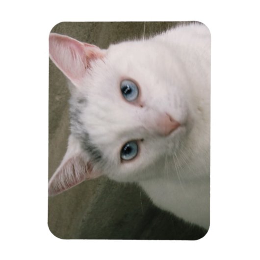 Magnet Flexible Tadpole (Vertical)