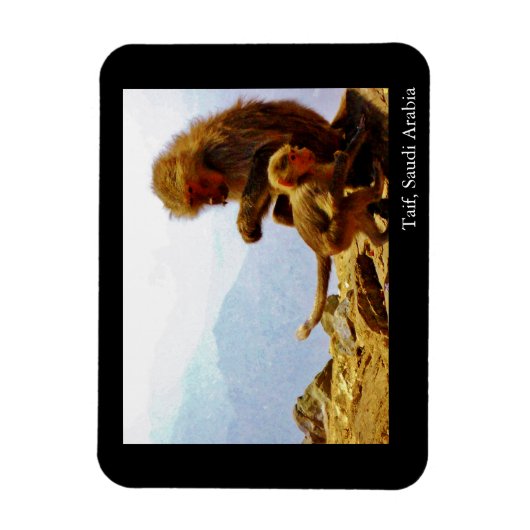 Magnet Flexible Taif, Arabie saoudite (Vertical)