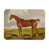 Magnet Flexible Talisman, vers 1840 (Horizontal)