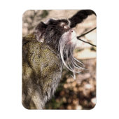 MAGNET FLEXIBLE TAMARIN MONKEY (Vertical)