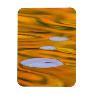 Magnet Flexible Tampon Lily sur l'eau orange, Canada