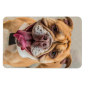Magnet Flexible Tan Happy Dog Photo (Horizontal)