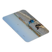 Magnet Flexible Tanji, Gambie (Côté Droit)