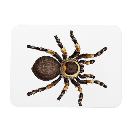 Magnet Flexible Tarantula (Horizontal)