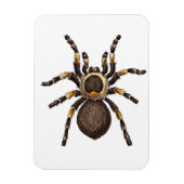 Magnet Flexible Tarantula (Vertical)