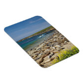 Magnet Flexible Tas de éléphants de mer (Côté Droit)