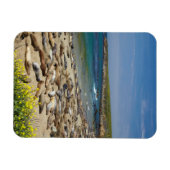 Magnet Flexible Tas de éléphants de mer (Horizontal)