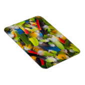 Magnet Flexible Tas de plumes colorées (Côté Droit)