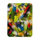 Magnet Flexible Tas de plumes colorées (Vertical)