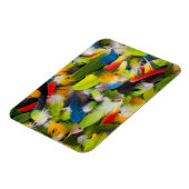 Magnet Flexible Tas de plumes colorées (Côté Gauche)