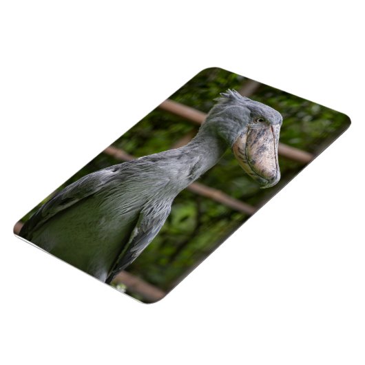 Magnet Flexible Taupe (Balaeniceps rex) (Côté Gauche)