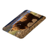 Magnet Flexible Taureau Highland Cattle, Écosse (Côté Gauche)