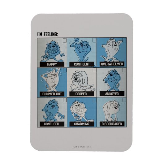 Magnet Flexible TAZ™ Emotion Checkbox (Vertical)
