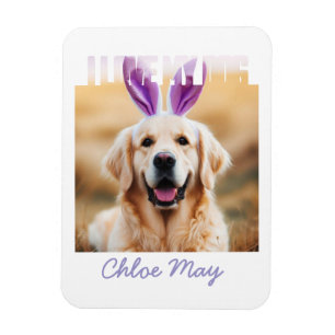Magnet Flexible Télécharger Personnalisé Pet Photo Nom I Love My D
