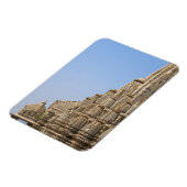 Magnet Flexible Temple jaïn dans le fort de Chittorgarh, Inde (Côté Gauche)