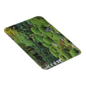 Magnet Flexible Temple Sanzen in, Ohara, Kyoto, Japon 3 (Côté Droit)