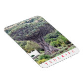 Magnet Flexible Tenerife Dragon Tree vue aimant frigo (Côté Droit)