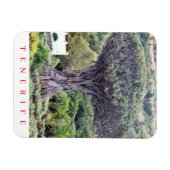 Magnet Flexible Tenerife Dragon Tree vue aimant frigo (Horizontal)