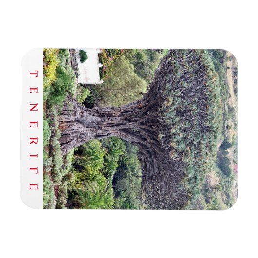 Magnet Flexible Tenerife Dragon Tree vue aimant frigo (Horizontal)