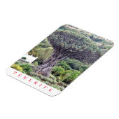 Magnet Flexible Tenerife Dragon Tree vue aimant frigo (Côté Gauche)
