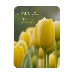 Magnet Flexible Tenez la tulipe